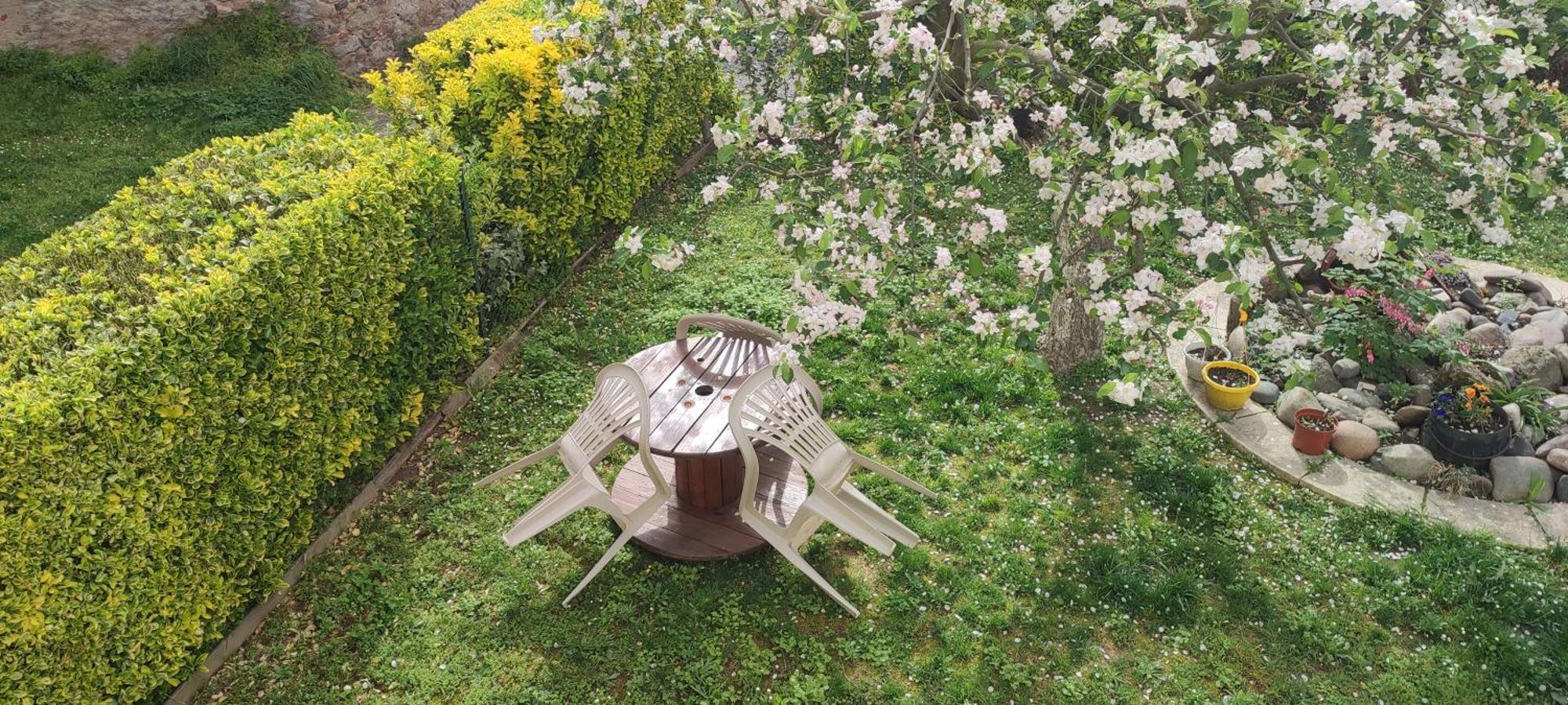 La Maison Du Pecheur Livinhac-le-Haut ภายนอก รูปภาพ